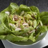 <br>Bibb lettuce, Pumpkinseeds and Radishes